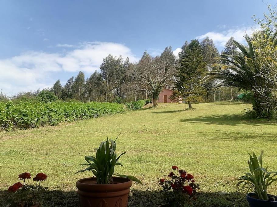 La Casa Azul De Lua Un Lugar Magico Villa Juncedo Екстериор снимка