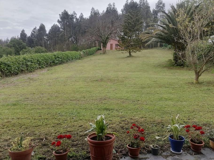 La Casa Azul De Lua Un Lugar Magico Villa Juncedo Екстериор снимка